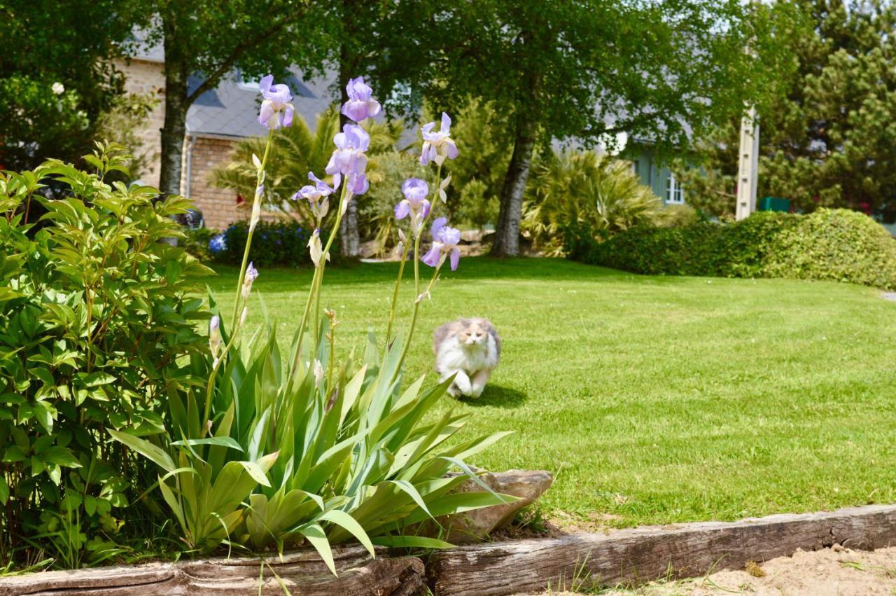 Bed and Breakfast La Pichonniere Isigny-le-Buat Exterior foto