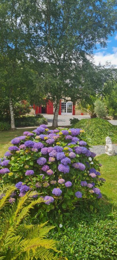 Bed and Breakfast La Pichonniere Isigny-le-Buat Zimmer foto